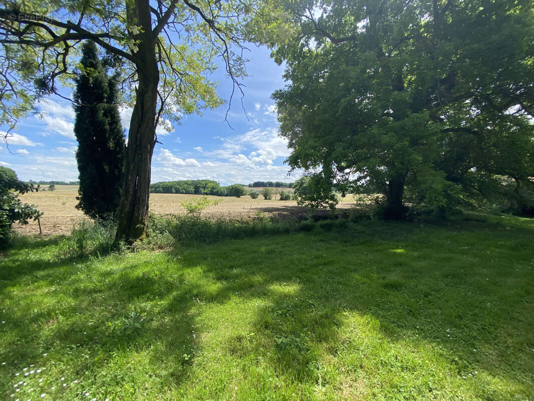Maison à CREON-D&#039;ARMAGNAC