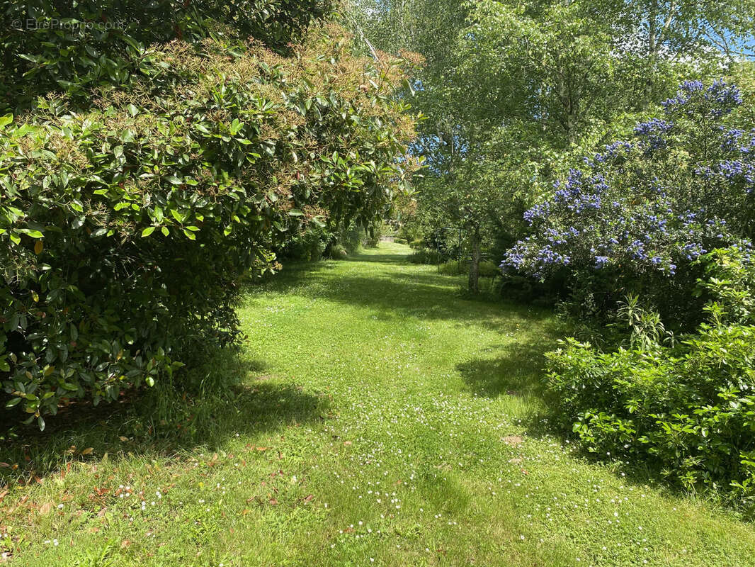 Maison à CREON-D&#039;ARMAGNAC