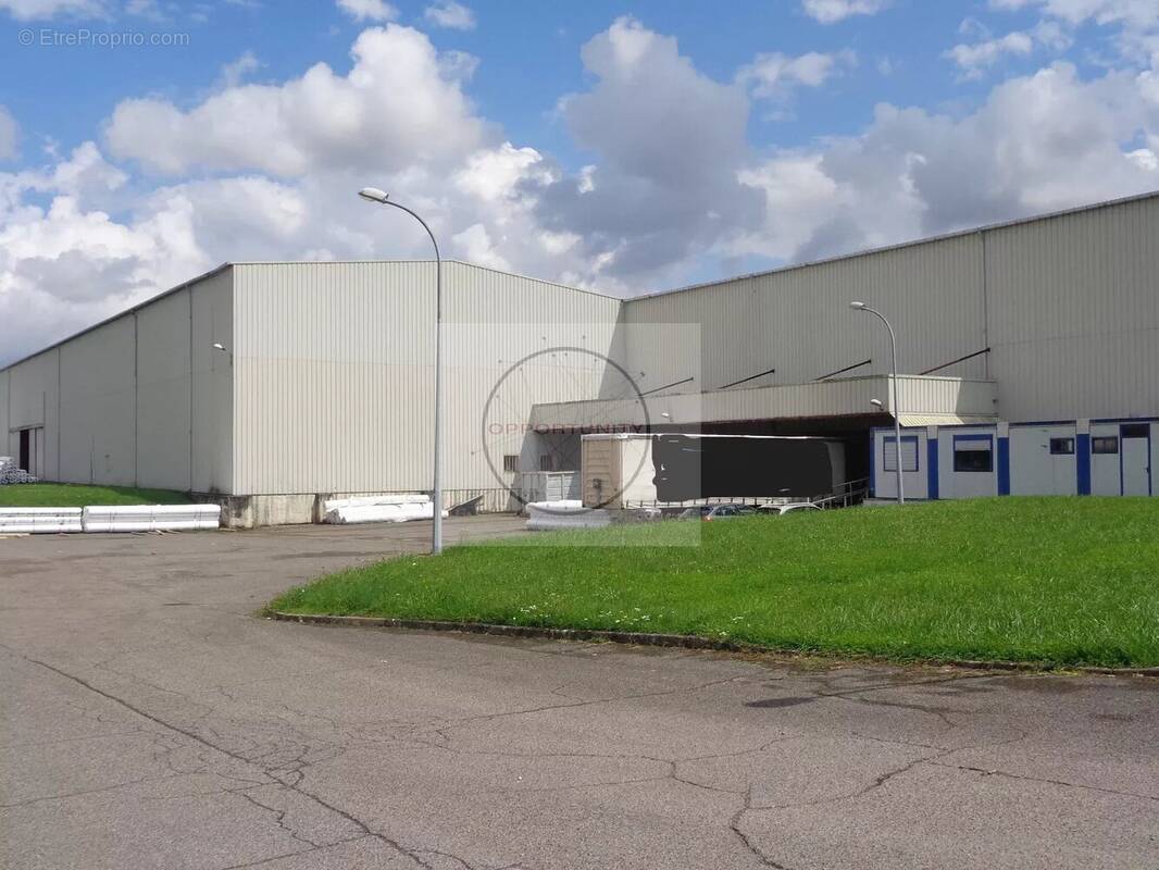 Commerce à LA FERTE-GAUCHER