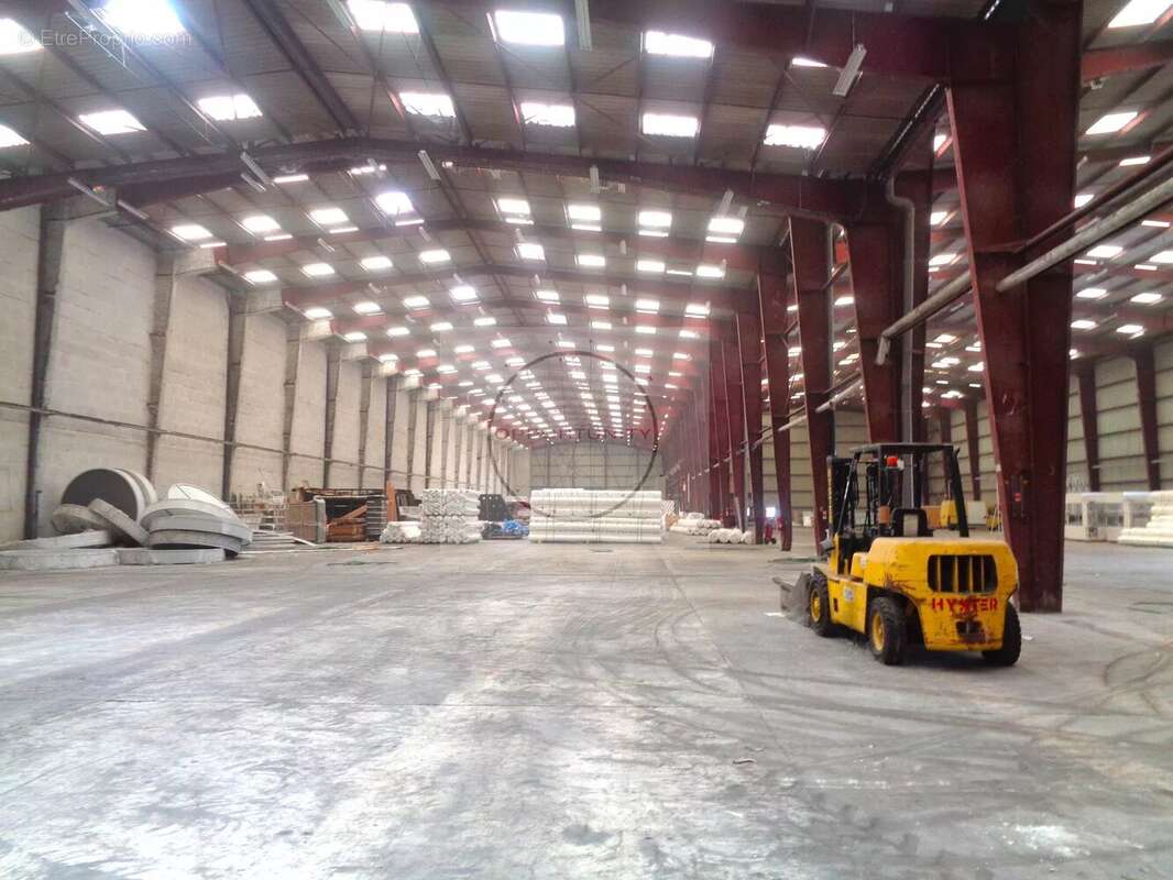 Commerce à LA FERTE-GAUCHER