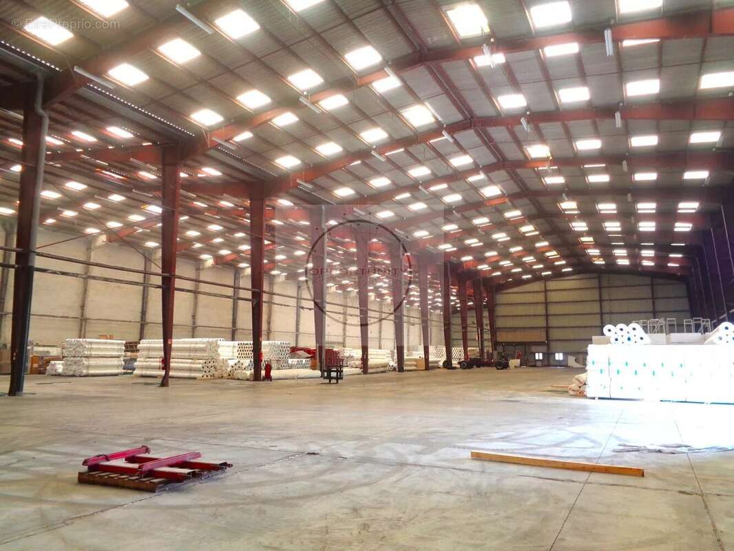 Commerce à LA FERTE-GAUCHER