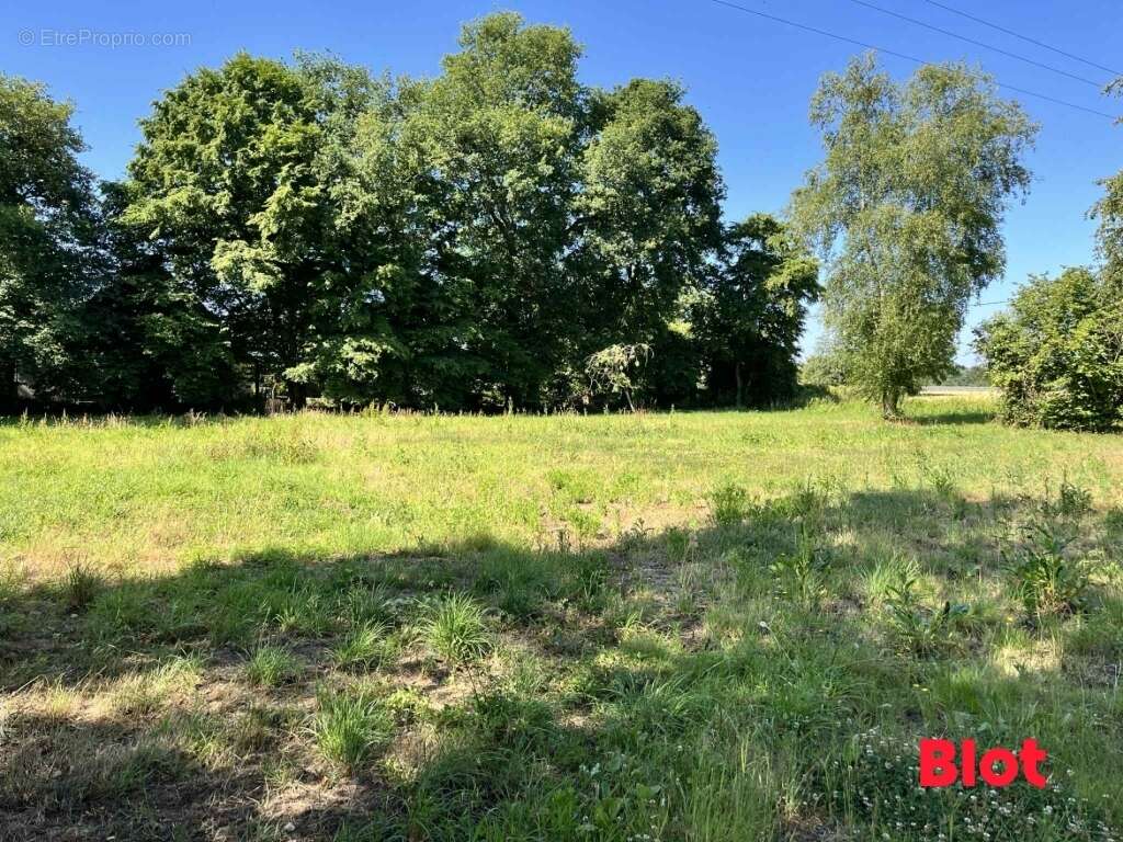 Terrain à SAINT-GREGOIRE