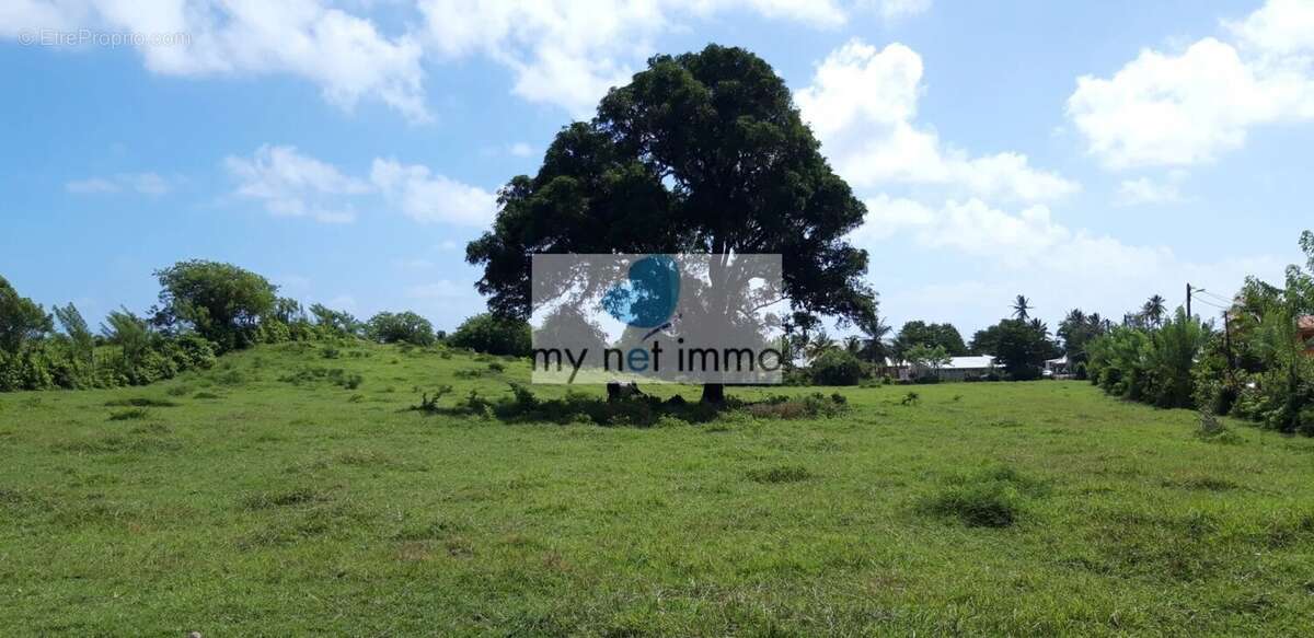 Terrain à LE VAUCLIN