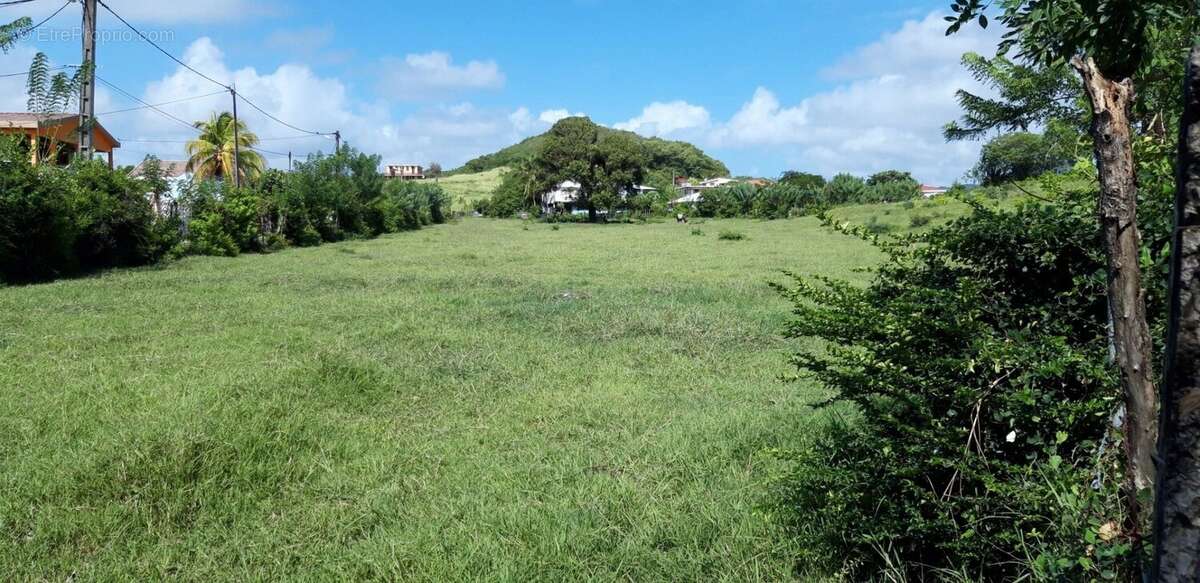 Terrain à LE VAUCLIN
