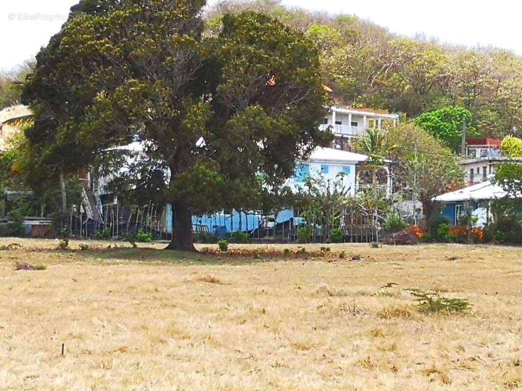 Terrain à LE VAUCLIN