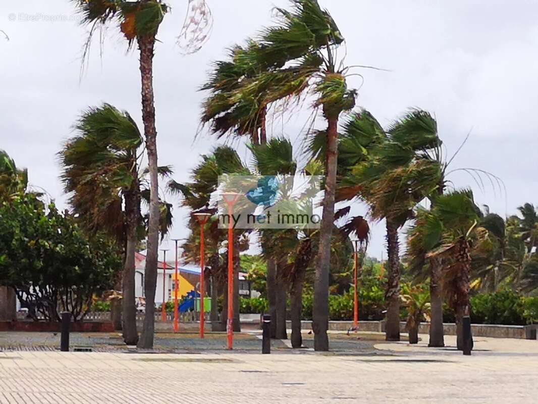 Terrain à LE VAUCLIN