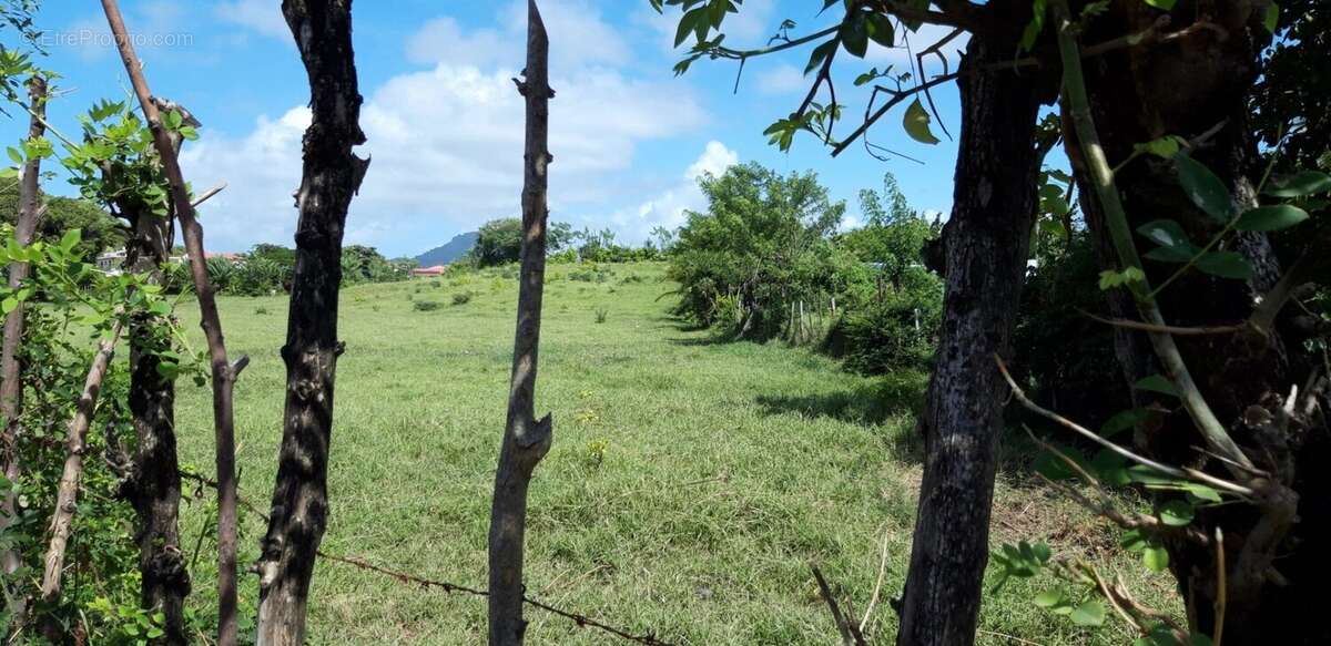 Terrain à LE VAUCLIN