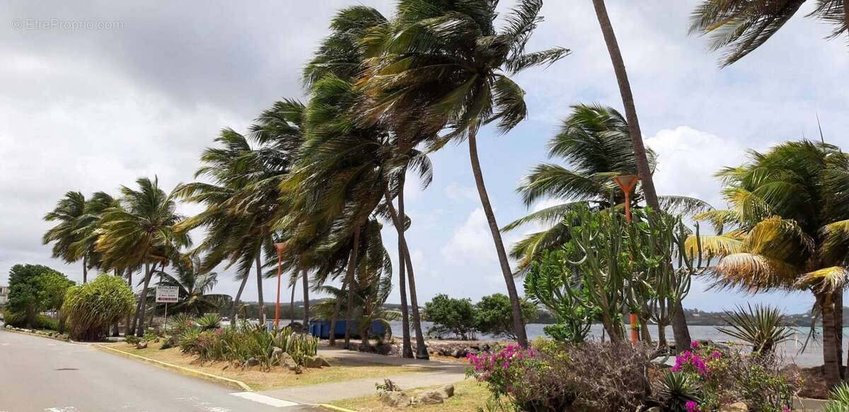 Terrain à LE VAUCLIN