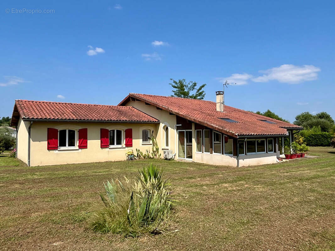 Maison à VILLENEUVE-DE-MARSAN