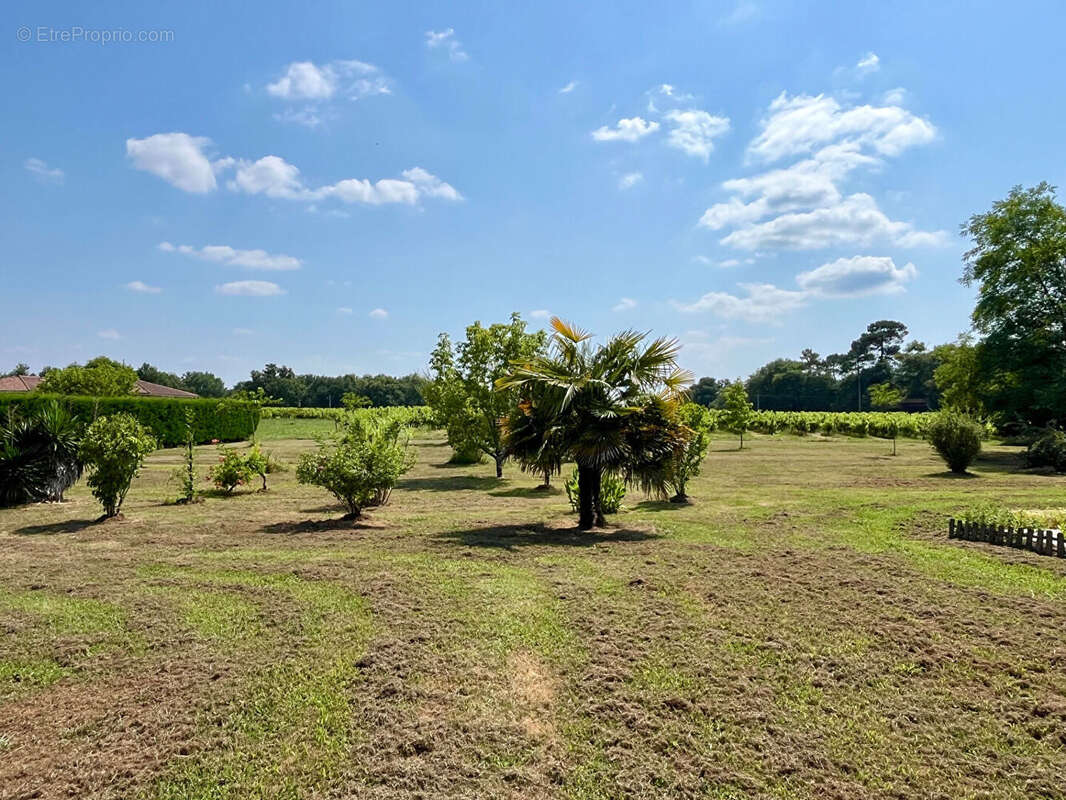Maison à VILLENEUVE-DE-MARSAN