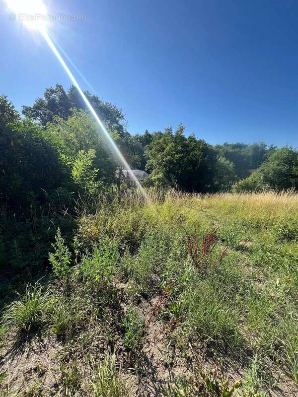 Maison à EVAUX-LES-BAINS