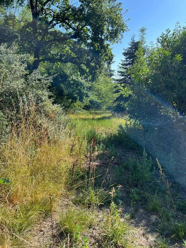 Maison à EVAUX-LES-BAINS