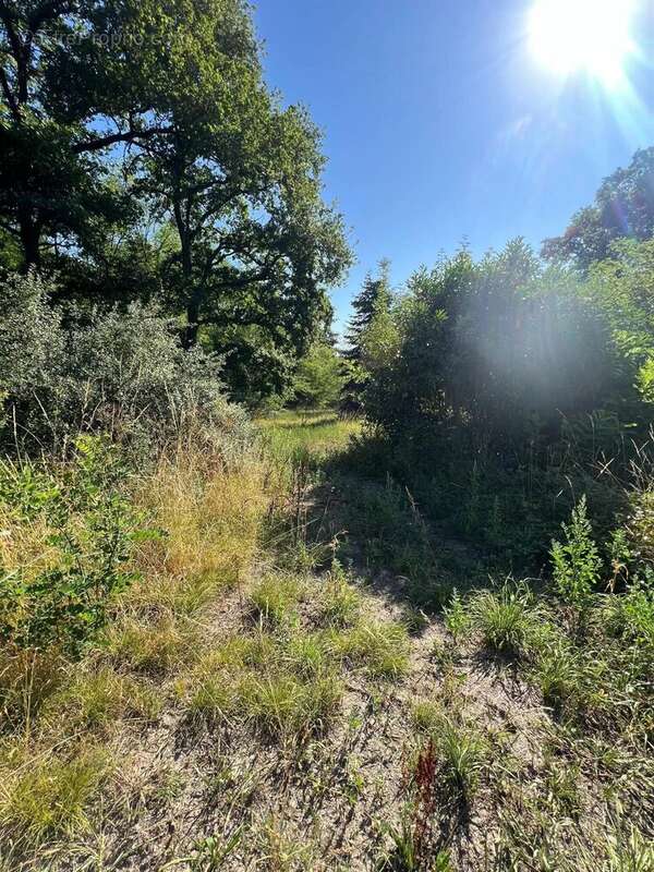 Maison à EVAUX-LES-BAINS