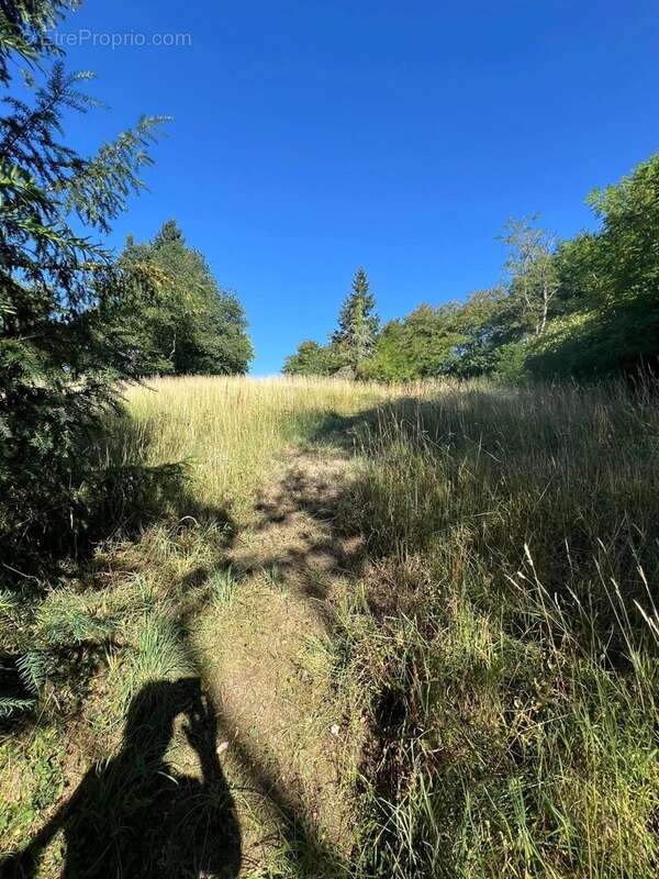 Maison à EVAUX-LES-BAINS