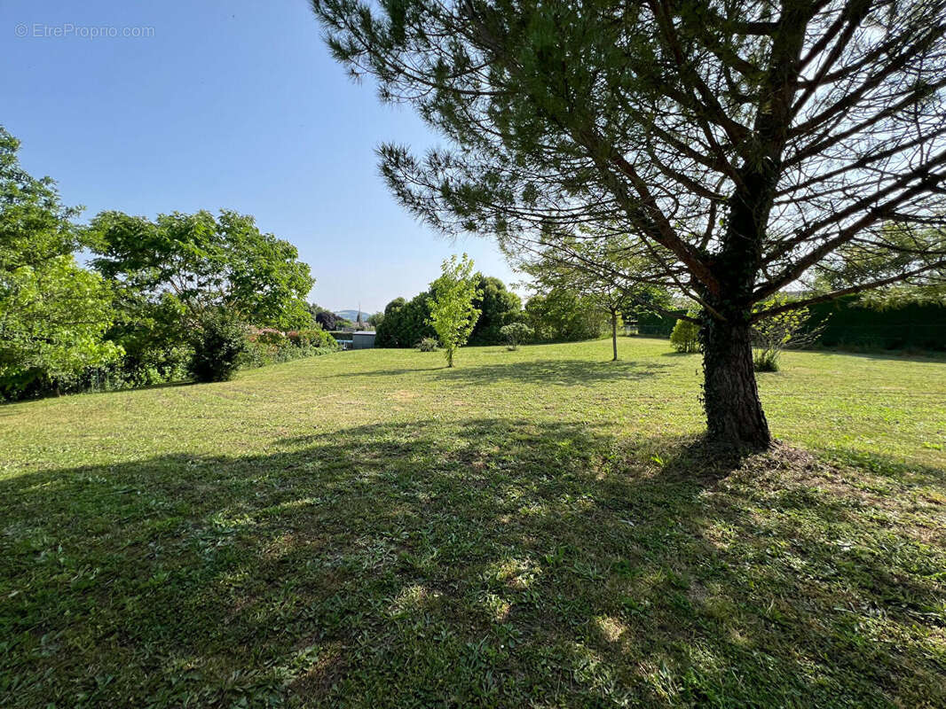 Maison à LA SAUVETAT-SUR-LEDE