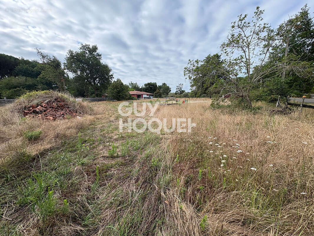 Terrain à SAINT-PAUL-EN-BORN