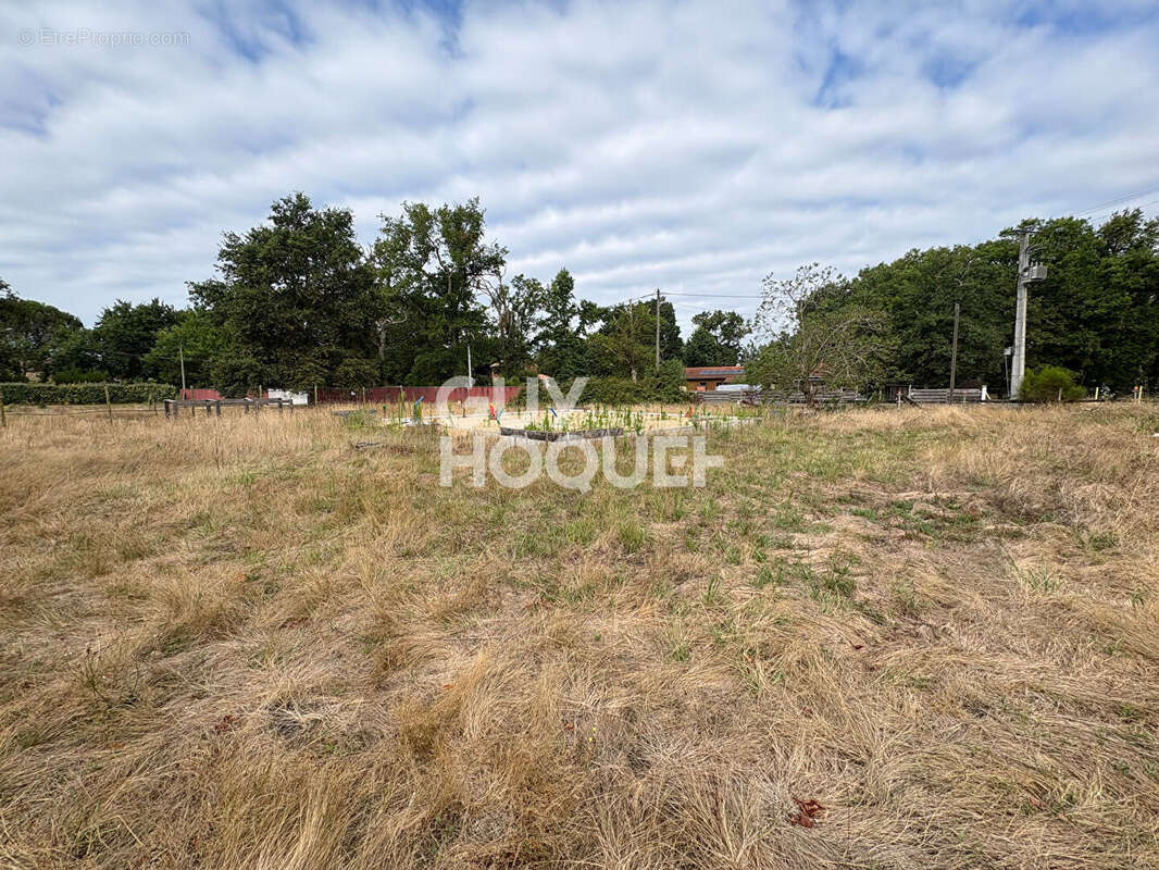 Terrain à SAINT-PAUL-EN-BORN