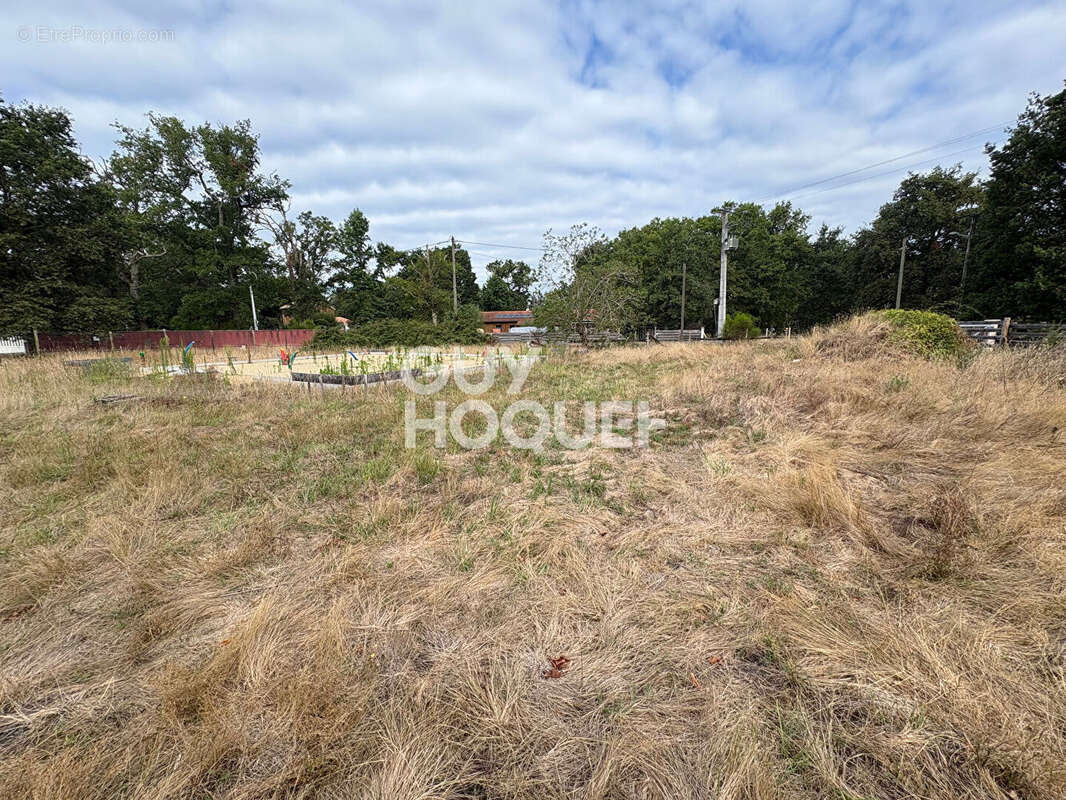 Terrain à SAINT-PAUL-EN-BORN