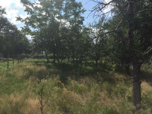 Maison à LUSSAC-LES-EGLISES