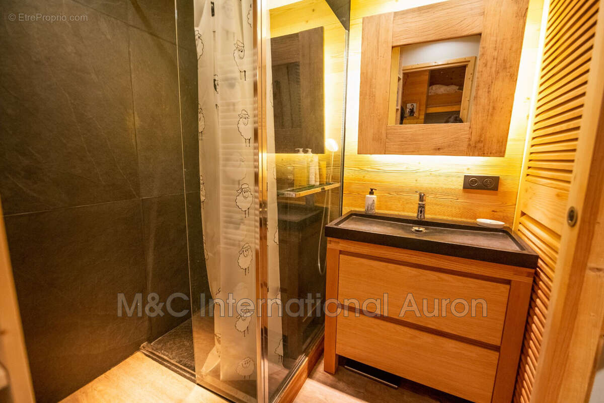 Appartement à SAINT-ETIENNE-DE-TINEE