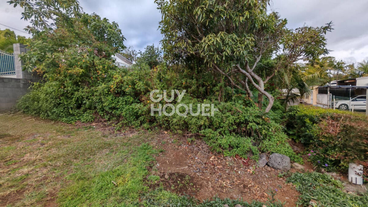 Terrain à LE TAMPON