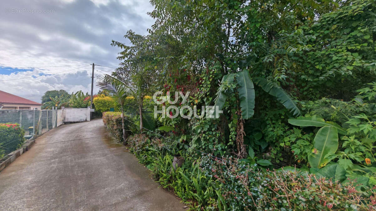 Terrain à LE TAMPON