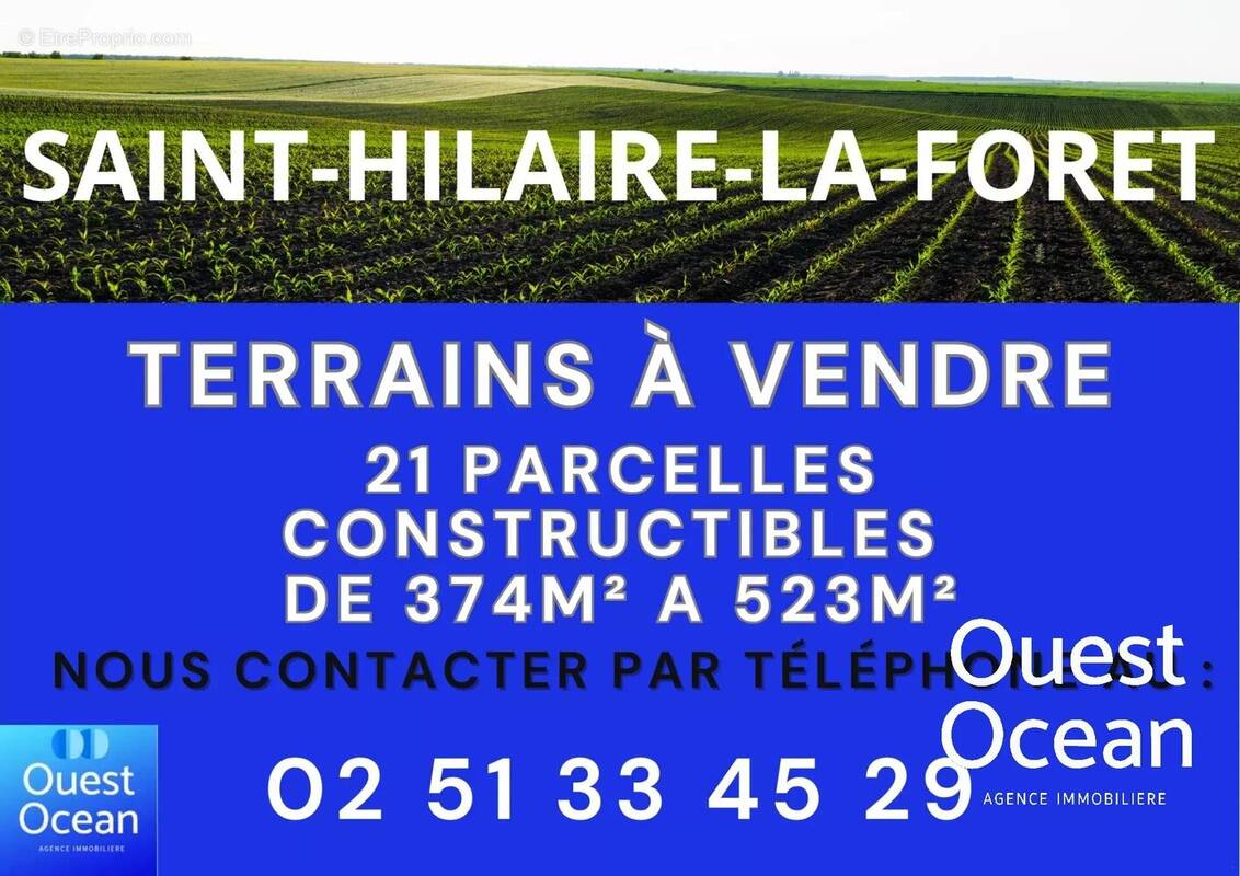 Terrain à SAINT-HILAIRE-LA-FORET