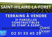 Terrain à SAINT-HILAIRE-LA-FORET