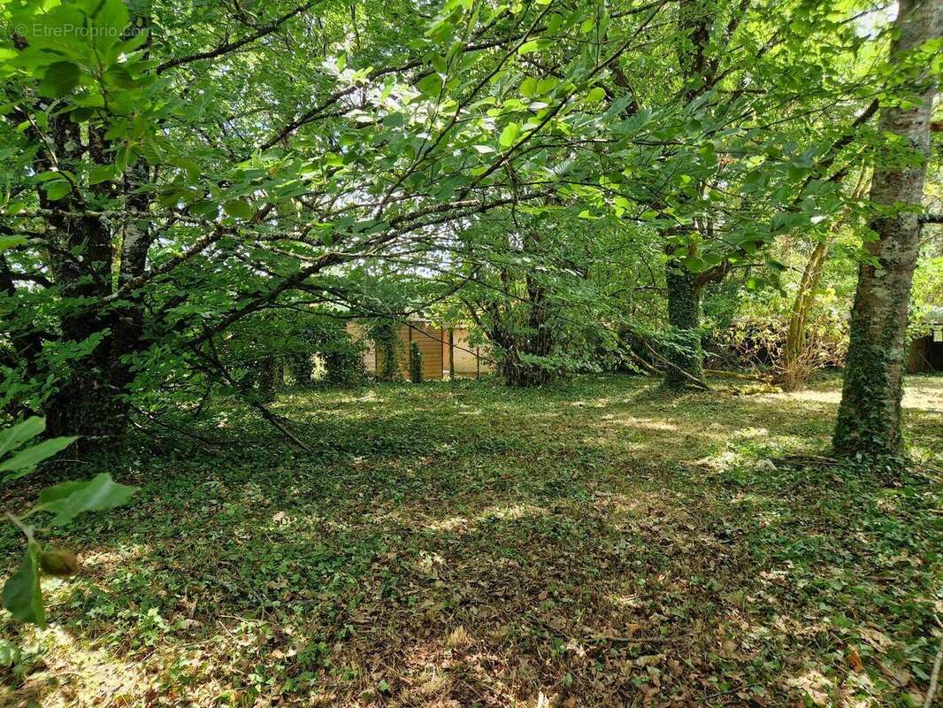 20250724144613 - Maison à LE BUGUE