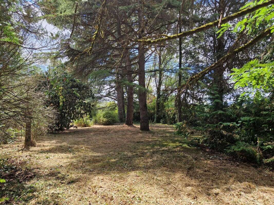 20250724144744 - Maison à LE BUGUE