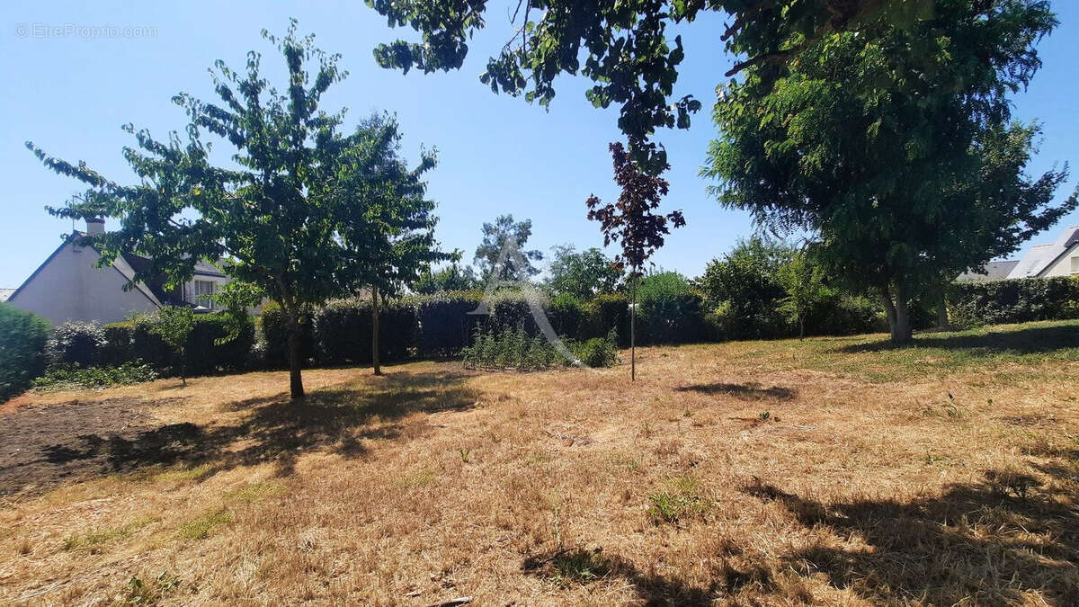 Terrain à VILLEVEQUE