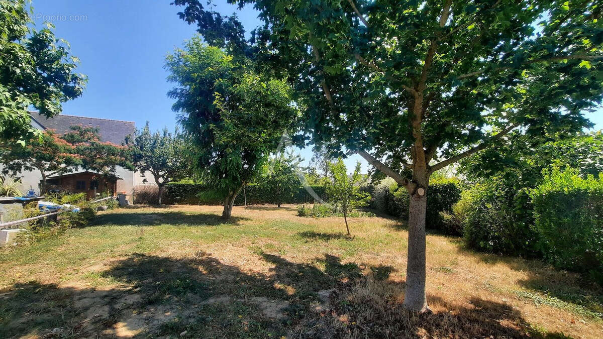 Terrain à VILLEVEQUE