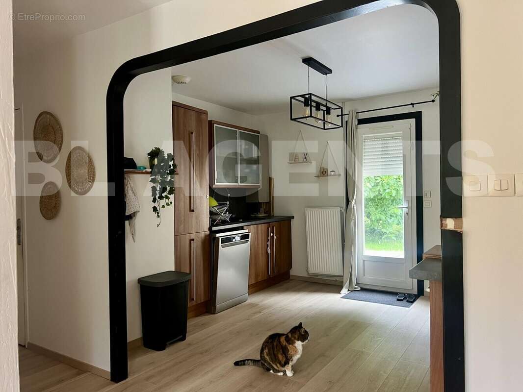 IMG_6008 - Maison à ETAIMPUIS