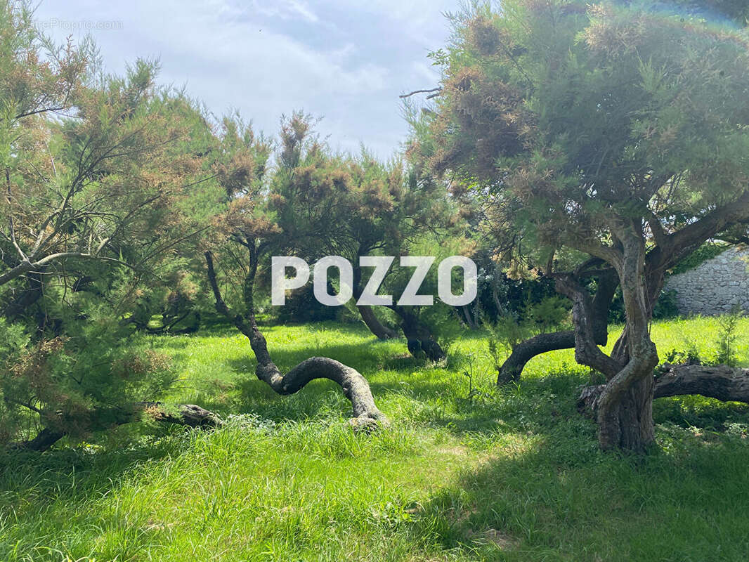 Maison à GATTEVILLE-LE-PHARE