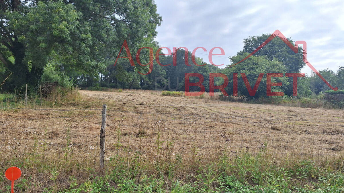 Terrain à SAINT-GILDAS-DES-BOIS