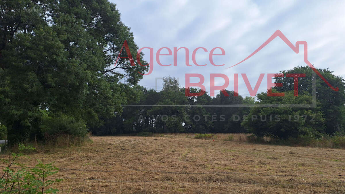 Terrain à SAINT-GILDAS-DES-BOIS