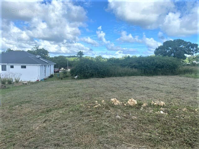 Terrain à GRAND-BOURG