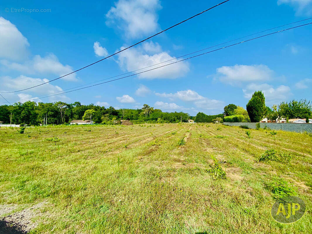 Terrain à SAINT-GERMAIN-D&#039;ESTEUIL