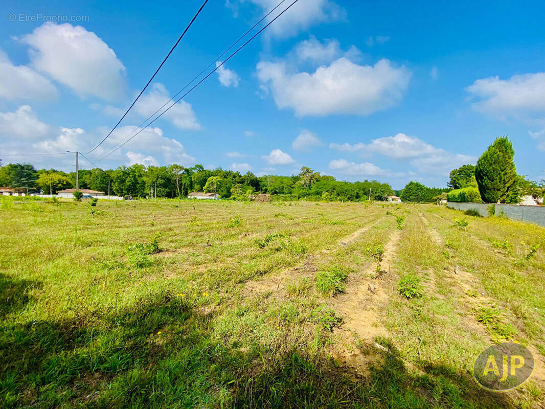 Terrain à SAINT-GERMAIN-D&#039;ESTEUIL