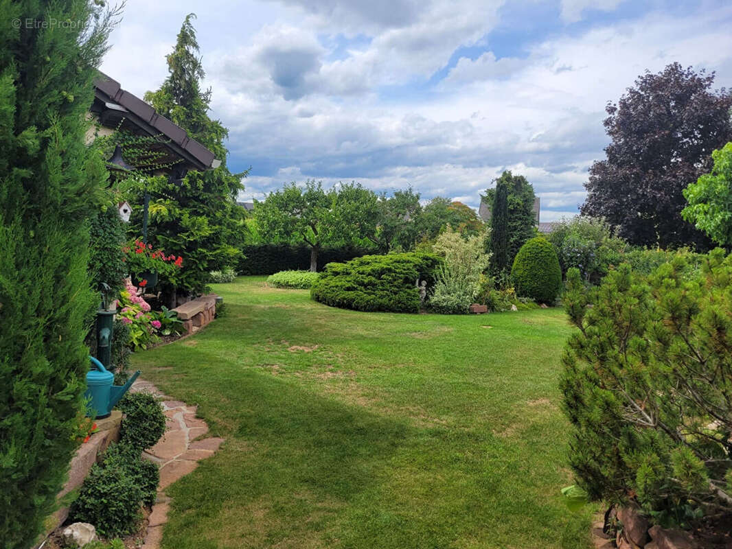 Maison à ALGOLSHEIM