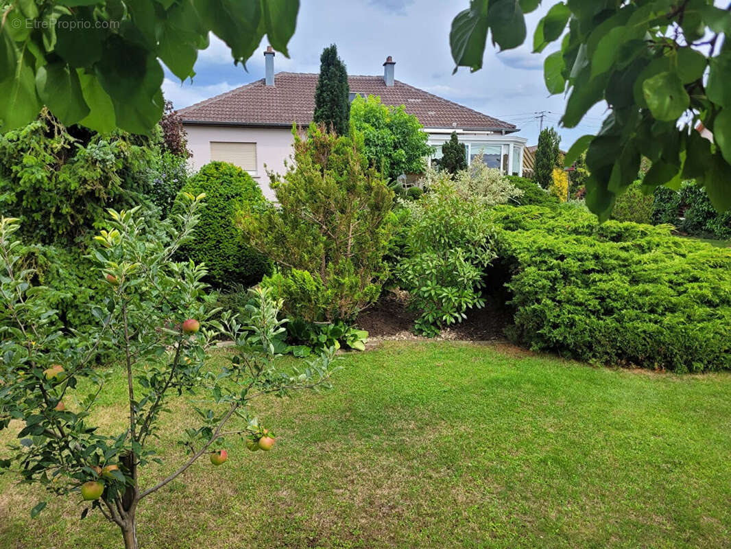 Maison à ALGOLSHEIM