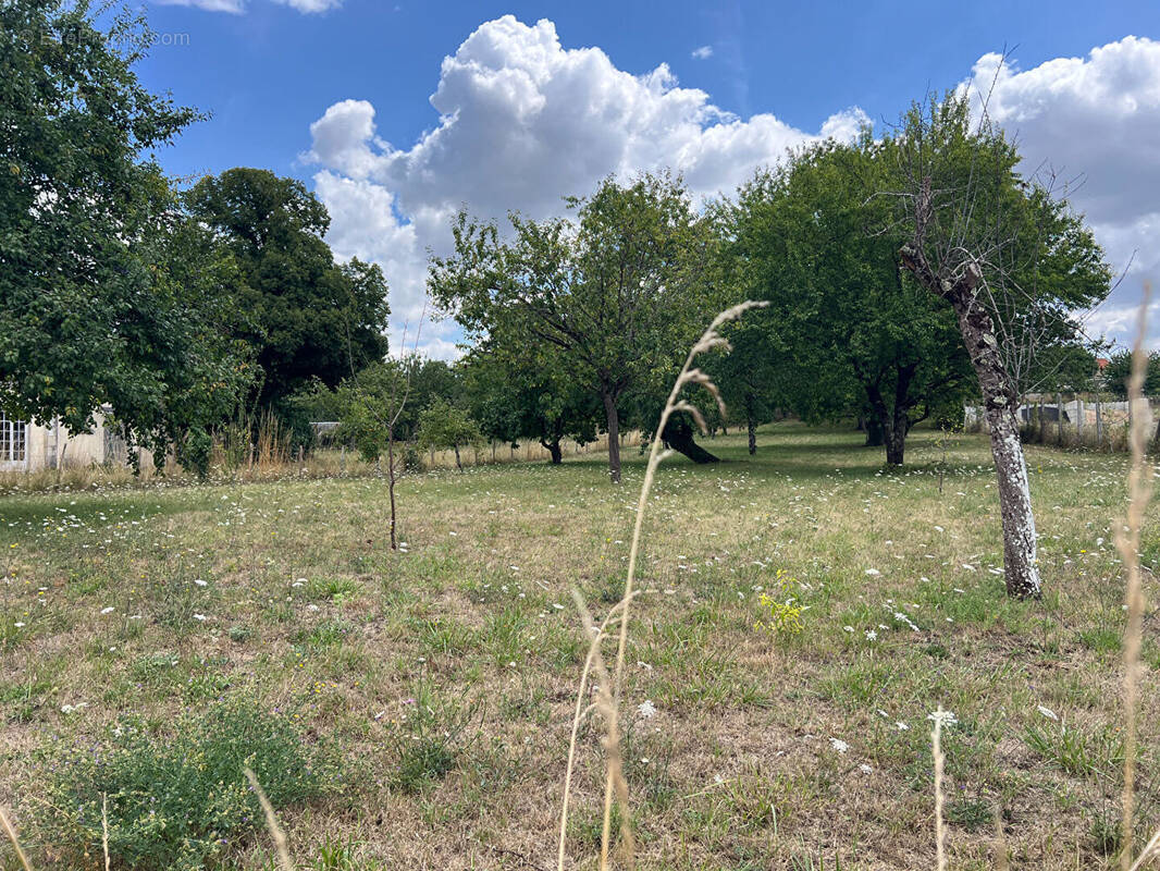 Terrain à LHOMMAIZE