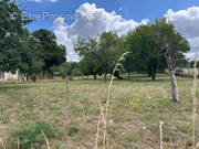 Terrain à LHOMMAIZE