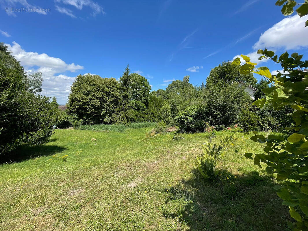 Terrain à NERVILLE-LA-FORET