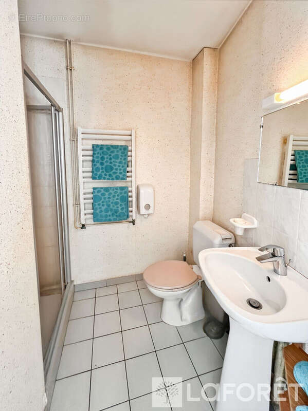 Maison à L&#039;ILE-BOUCHARD