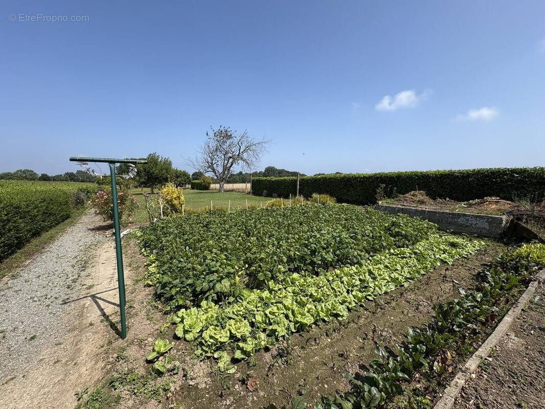 Maison à LE MINIHIC-SUR-RANCE
