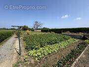 Maison à LE MINIHIC-SUR-RANCE
