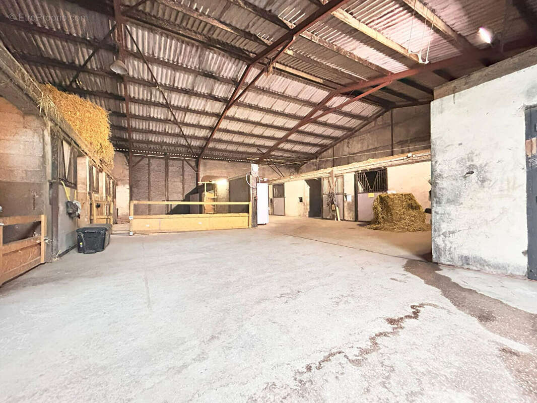 Maison à HOUTKERQUE