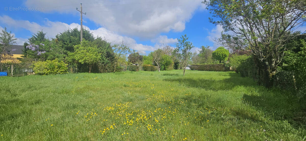 Terrain à SAINT-MAURICE-DE-GOURDANS