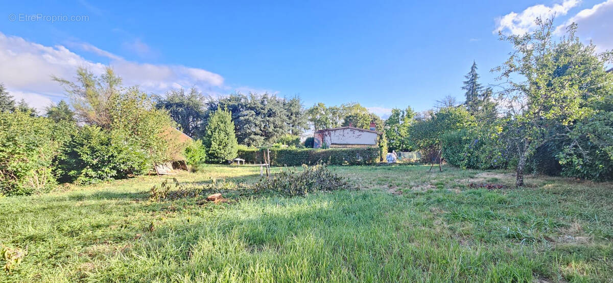 Terrain à LA TOUR-DE-SALVAGNY